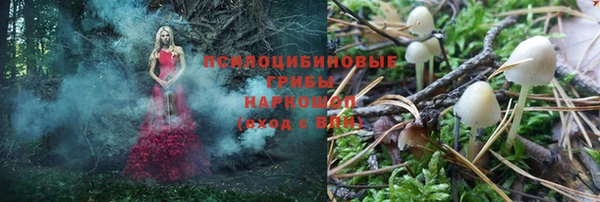 СК Абинск