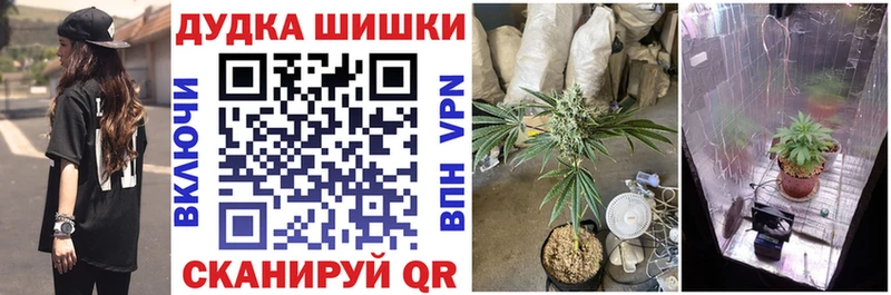 Бошки Шишки планчик  гидра вход  Южа 